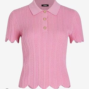 Express Pink Button Down Knit Top